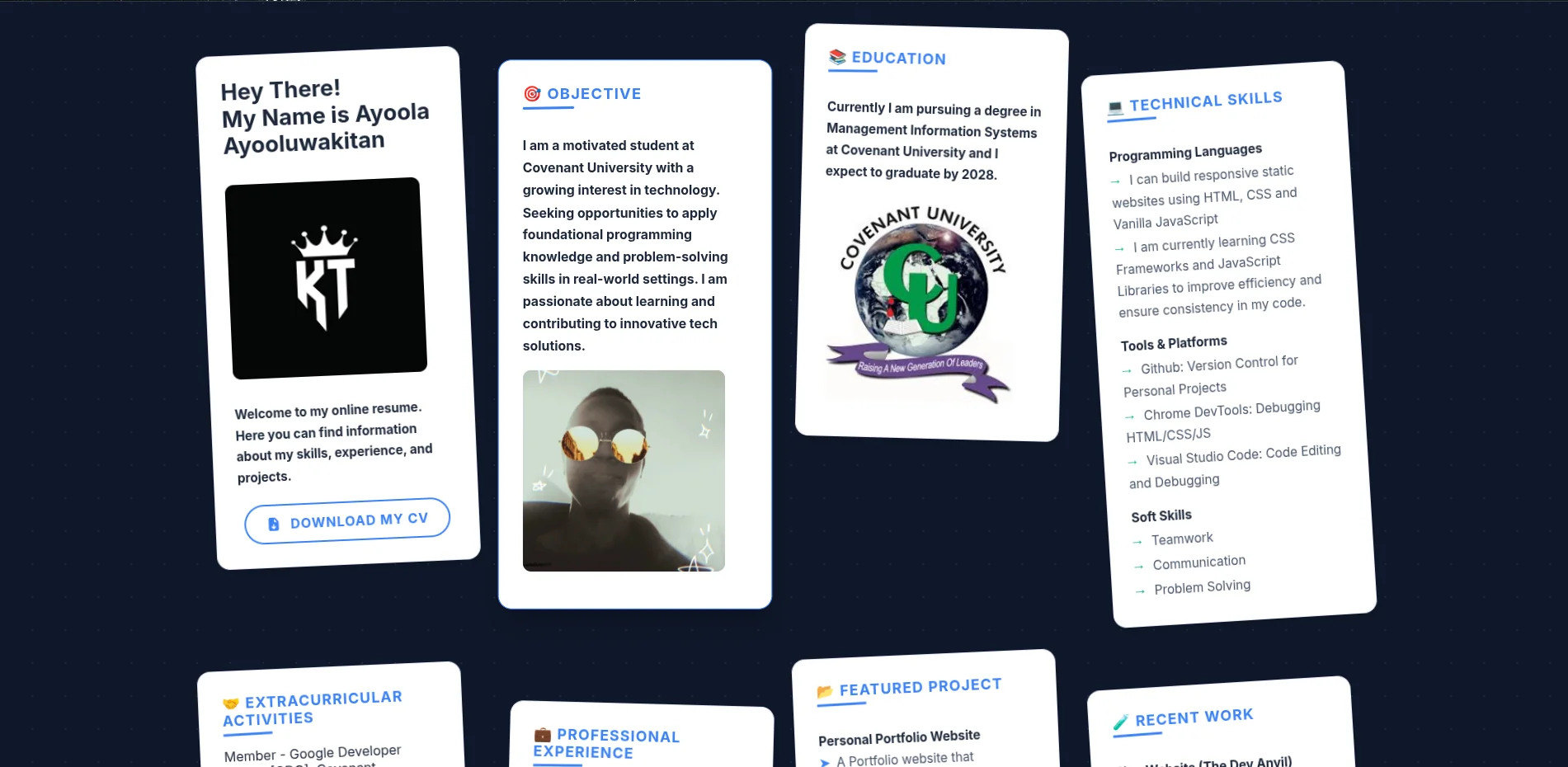 Picture of my Resume Website